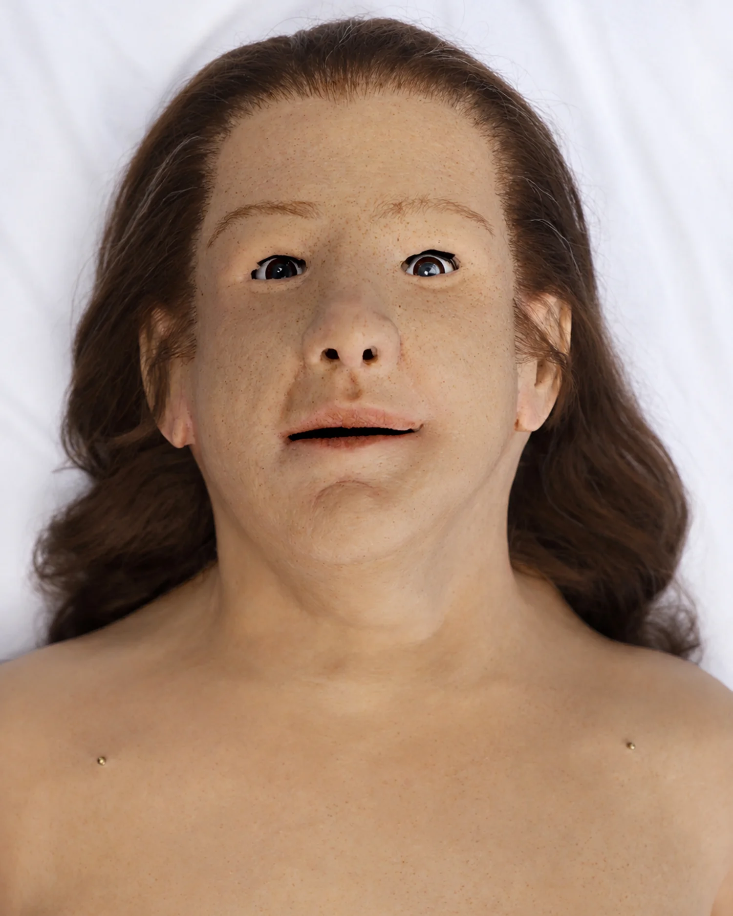 Eva Gaumard manikin overlay front view