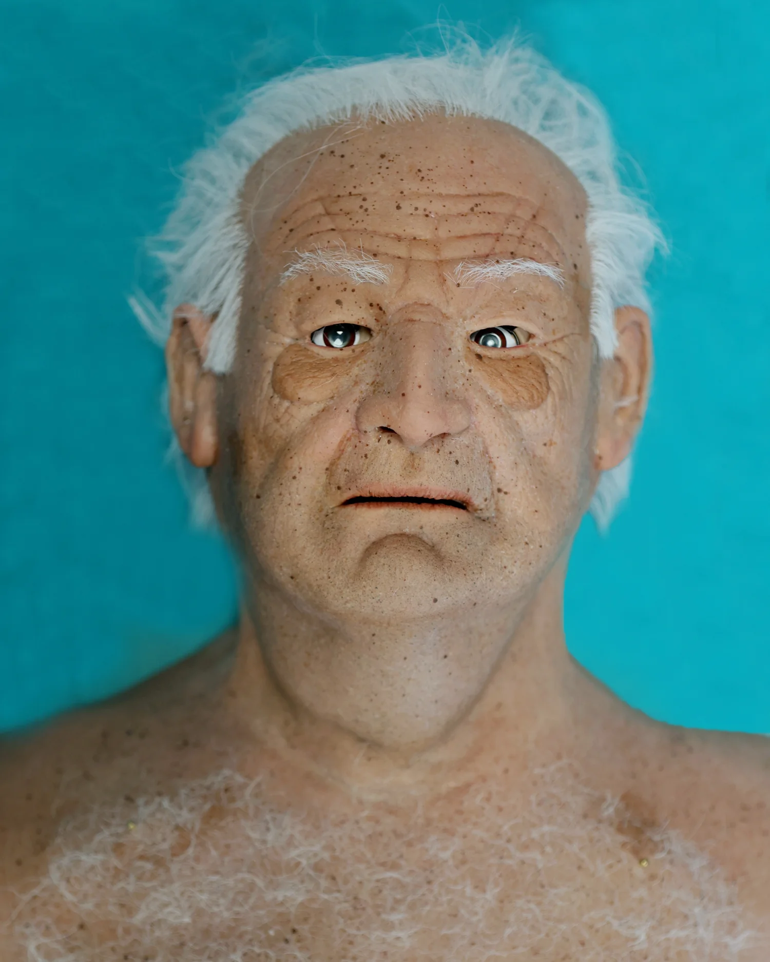 Bob Gaumard manikin overlay front view